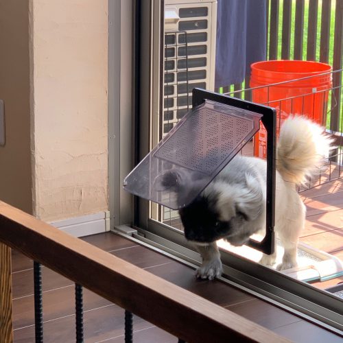 ペットドアをつける。