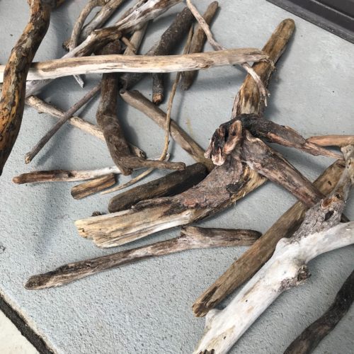 週末は流木ひろい