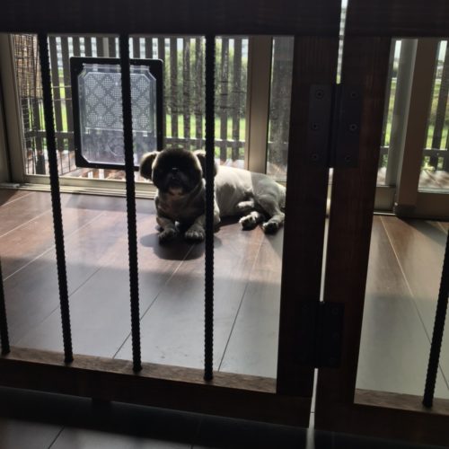 木＋鉄＝ペットサークル