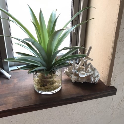 食べもの観るもの