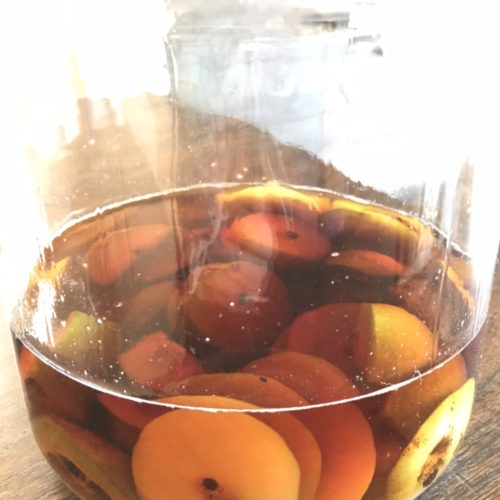 薬用酒「ボケ酒」を作ってみる