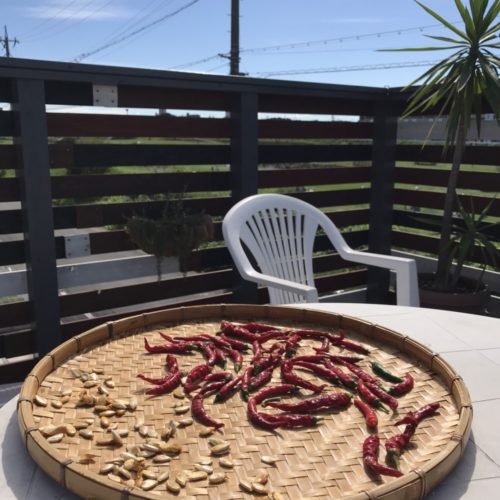 唐辛子～tougarashi~