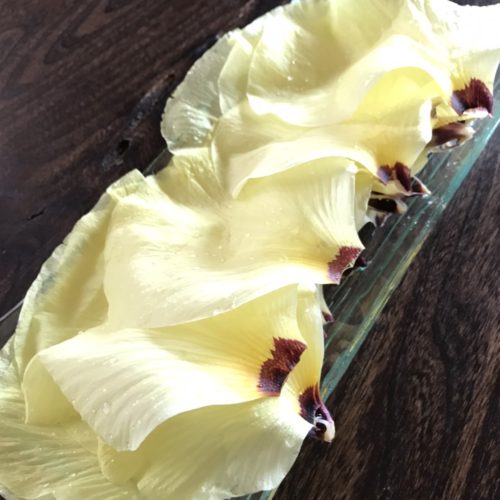 「花おくら」を食べてみた