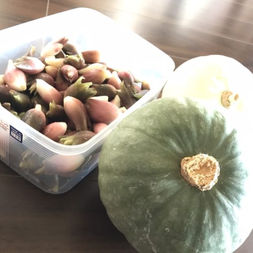 高山からのおくりもの