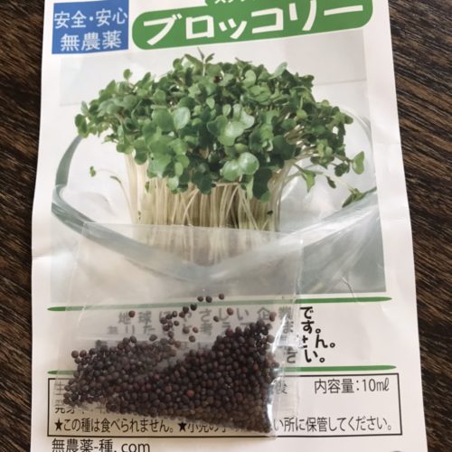 種まきをしてみる