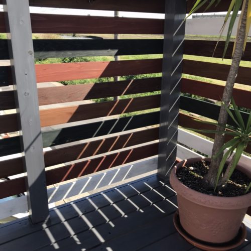 「ほや」って知ってますか？