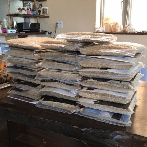 真空保存のススメ