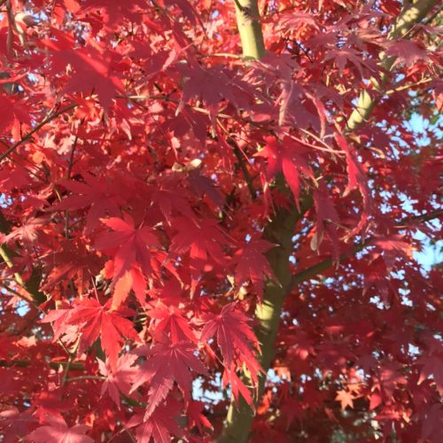 3,330円な～り～