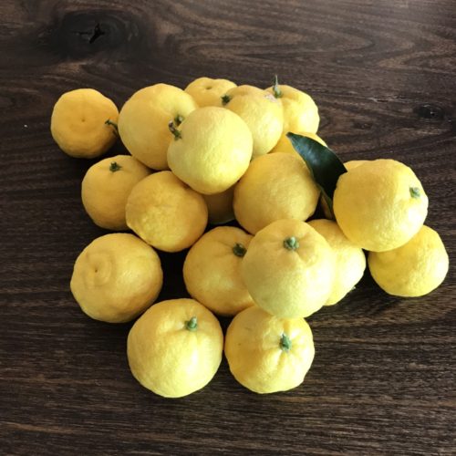 柚子酒を作ってみた